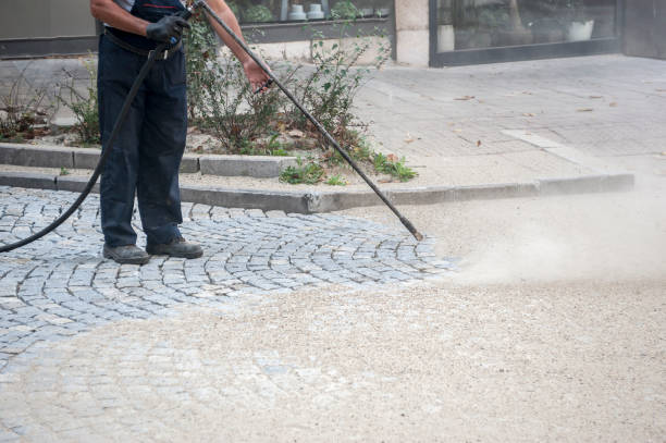 Best Sidewalk and Walkway Cleaning  in Santa Clarita, CA